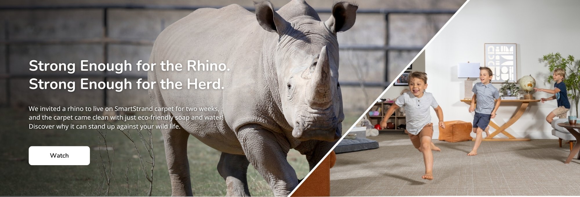 SmartStrand Rhino Conservation